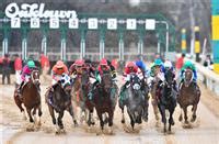 entries oaklawn|oaklawn entries for today.